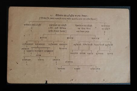 Family Tree showing Ramnarayan Roy Chowdhury Dewan in the Fort William and lineage of Upendra Nath Kumar