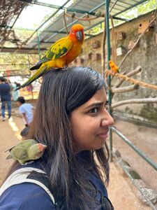 Aastha Bird Park. Bangalore. January 2023.