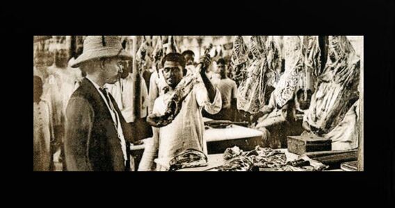 Meat Shop in New Market compared to Kalams Cold Cut