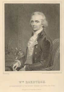 William Roxburgh